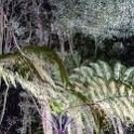 NZL BOP Rotorua 2018APR17 Tamaki 006 : - DATE, - PLACES, - TRIPS, 10's, 2018, 2018 - Kiwi Kruisin, April, Bay Of Plenty, Day, Month, New Zealand, Oceania, Rotorua, Tamaki, Tuesday, Year