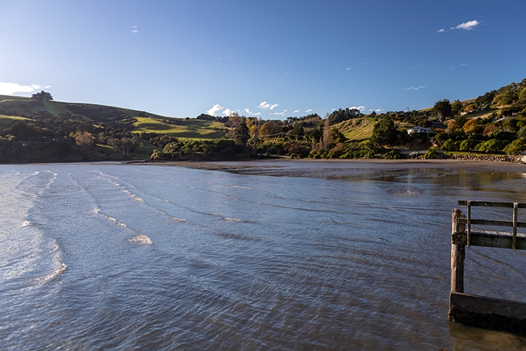 NZL CAN Akaroa 2018APR24 005