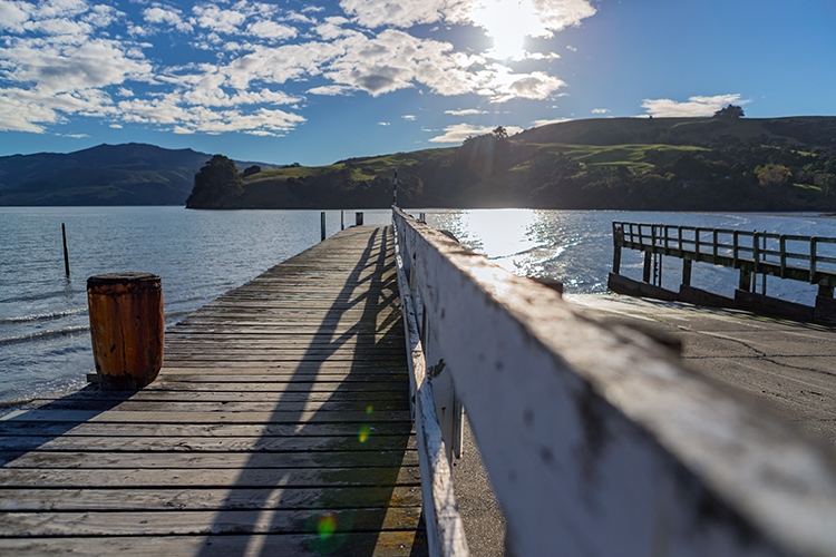 NZL CAN Akaroa 2018APR24 008