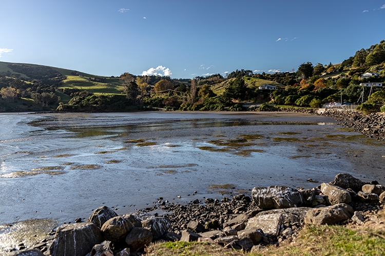 NZL CAN Akaroa 2018APR24 010