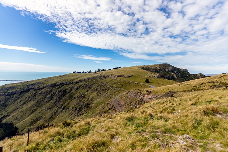 NZL CAN Christchurch 2018APR24 MountCavendish 020