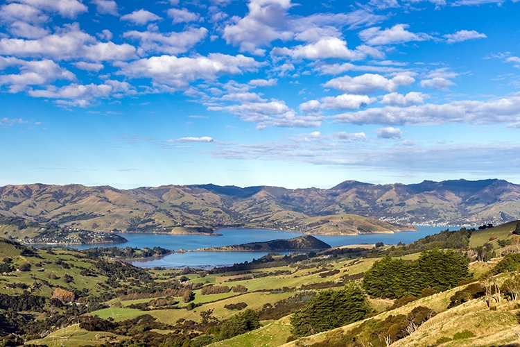 NZL CAN Duvauchelle 2018APR24 HilltopTavern 004
