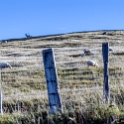 NZL CAN Duvauchelle 2018APR24 HilltopTavern 001 : - DATE, - PLACES, - TRIPS, 10's, 2018, 2018 - Kiwi Kruisin, April, Canterbury, Day, Duvauchelle, Hilltop Tavern, Month, New Zealand, Oceania, Tuesday, Year