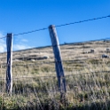NZL CAN Duvauchelle 2018APR24 HilltopTavern 003 : - DATE, - PLACES, - TRIPS, 10's, 2018, 2018 - Kiwi Kruisin, April, Canterbury, Day, Duvauchelle, Hilltop Tavern, Month, New Zealand, Oceania, Tuesday, Year