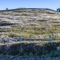 NZL CAN Duvauchelle 2018APR24 HilltopTavern 007 : - DATE, - PLACES, - TRIPS, 10's, 2018, 2018 - Kiwi Kruisin, April, Canterbury, Day, Duvauchelle, Hilltop Tavern, Month, New Zealand, Oceania, Tuesday, Year