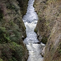 NZL MWT Ohotu 2011SEPT24 GorgeRoad 010 : 2011, 2011 - Rugby World Cup, Date, Gorge Road, Manawatu-Wanganui, Month, New Zealand, Oceania, Ohotu, Places, September, Trips, Year