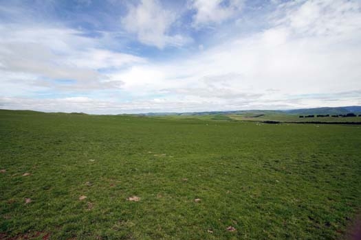 NZL MWT Taihape 2006OCT27 001