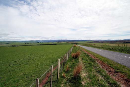 NZL MWT Taihape 2006OCT27 002