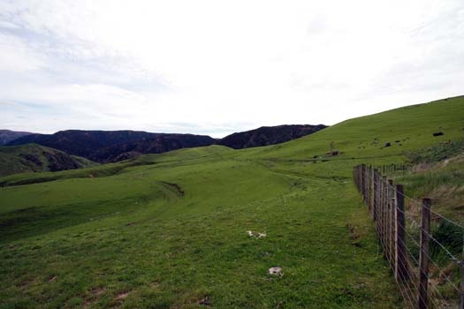 NZL MWT Taihape 2006OCT27 006
