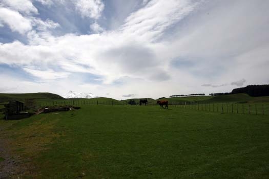 NZL MWT Taihape 2006OCT27 012