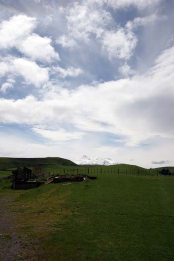 NZL MWT Taihape 2006OCT27 013