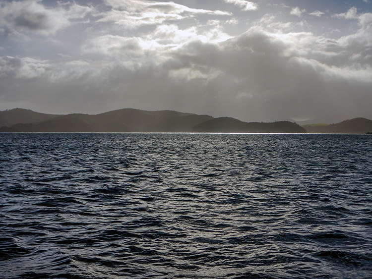 NZL NTL BayOfIslands 2018APR16 012
