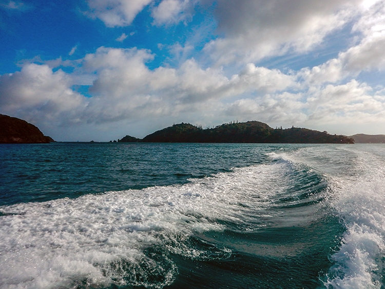 NZL NTL BayOfIslands 2018APR16 017