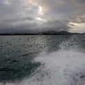 NZL NTL BayOfIslands 2018APR16 003 : - DATE, - PLACES, - TRIPS, 10's, 2018, 2018 - Kiwi Kruisin, April, Bay Of Islands, Day, Monday, Month, New Zealand, Northland, Oceania, Year