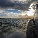 NZL NTL BayOfIslands 2018APR16 011 : - DATE, - PLACES, - TRIPS, 10's, 2018, 2018 - Kiwi Kruisin, April, Bay Of Islands, Day, Monday, Month, New Zealand, Northland, Oceania, Year