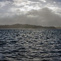 NZL NTL BayOfIslands 2018APR16 012 : - DATE, - PLACES, - TRIPS, 10's, 2018, 2018 - Kiwi Kruisin, April, Bay Of Islands, Day, Monday, Month, New Zealand, Northland, Oceania, Year