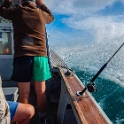 NZL NTL BayOfIslands 2018APR16 014 : - DATE, - PLACES, - TRIPS, 10's, 2018, 2018 - Kiwi Kruisin, April, Bay Of Islands, Day, Monday, Month, New Zealand, Northland, Oceania, Year
