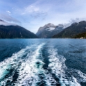 NZL STL MilfordSound 2018MAY03 025 : - DATE, - PLACES, - TRIPS, 10's, 2018, 2018 - Kiwi Kruisin, Day, May, Milford Sound, Month, New Zealand, Oceania, Southland, Thursday, Year