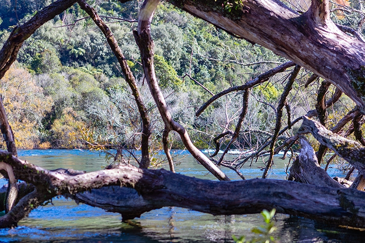 NZL WKO HukaFalls 2018APR19 008