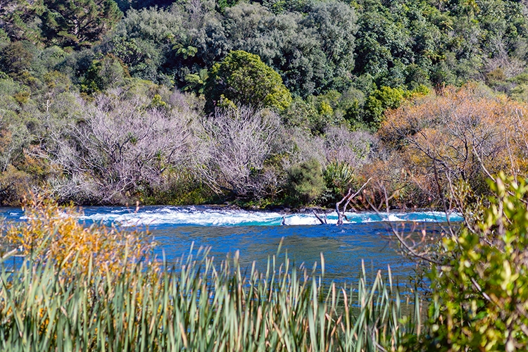 NZL WKO HukaFalls 2018APR19 010