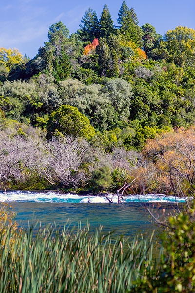 NZL WKO HukaFalls 2018APR19 011