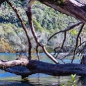 NZL WKO HukaFalls 2018APR19 008 : - DATE, - PLACES, - TRIPS, 10's, 2018, 2018 - Kiwi Kruisin, April, Day, Huka Falls, Month, New Zealand, Oceania, Thursday, Waikato, Year