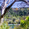 NZL WKO HukaFalls 2018APR19 009 : - DATE, - PLACES, - TRIPS, 10's, 2018, 2018 - Kiwi Kruisin, April, Day, Huka Falls, Month, New Zealand, Oceania, Thursday, Waikato, Year