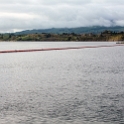 NZL WKO LakeKarapiro 2011SEPT19 004 : 2011, 2011 - Rugby World Cup, Date, Lake Karapiro, Month, New Zealand, Oceania, Places, September, Trips, Waikato, Year