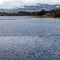 NZL WKO LakeKarapiro 2011SEPT19 013 : 2011, 2011 - Rugby World Cup, Date, Lake Karapiro, Month, New Zealand, Oceania, Places, September, Trips, Waikato, Year