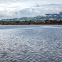 NZL WKO LakeKarapiro 2011SEPT19 014 : 2011, 2011 - Rugby World Cup, Date, Lake Karapiro, Month, New Zealand, Oceania, Places, September, Trips, Waikato, Year