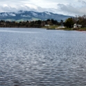 NZL WKO LakeKarapiro 2011SEPT19 015 : 2011, 2011 - Rugby World Cup, Date, Lake Karapiro, Month, New Zealand, Oceania, Places, September, Trips, Waikato, Year