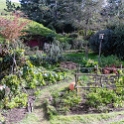 NZL WKO Matamata 2018APR18 Hobbiton 016 : - DATE, - PLACES, - TRIPS, 10's, 2018, 2018 - Kiwi Kruisin, April, Day, Hobbiton Movie Set, Matamata, Month, New Zealand, Oceania, Waikato, Wednesday, Year