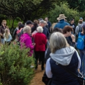 NZL WKO Matamata 2018APR18 Hobbiton 017 : - DATE, - PLACES, - TRIPS, 10's, 2018, 2018 - Kiwi Kruisin, April, Day, Hobbiton Movie Set, Matamata, Month, New Zealand, Oceania, Waikato, Wednesday, Year