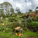 NZL WKO Matamata 2018APR18 Hobbiton 019 : - DATE, - PLACES, - TRIPS, 10's, 2018, 2018 - Kiwi Kruisin, April, Day, Hobbiton Movie Set, Matamata, Month, New Zealand, Oceania, Waikato, Wednesday, Year
