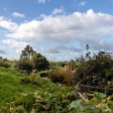 NZL WKO Matamata 2018APR18 Hobbiton 023 : - DATE, - PLACES, - TRIPS, 10's, 2018, 2018 - Kiwi Kruisin, April, Day, Hobbiton Movie Set, Matamata, Month, New Zealand, Oceania, Waikato, Wednesday, Year