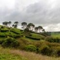 NZL WKO Matamata 2018APR18 Hobbiton 033 : - DATE, - PLACES, - TRIPS, 10's, 2018, 2018 - Kiwi Kruisin, April, Day, Hobbiton Movie Set, Matamata, Month, New Zealand, Oceania, Waikato, Wednesday, Year