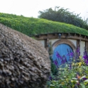 NZL WKO Matamata 2018APR18 Hobbiton 036 : - DATE, - PLACES, - TRIPS, 10's, 2018, 2018 - Kiwi Kruisin, April, Day, Hobbiton Movie Set, Matamata, Month, New Zealand, Oceania, Waikato, Wednesday, Year