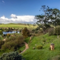 NZL WKO Matamata 2018APR18 Hobbiton 042 : - DATE, - PLACES, - TRIPS, 10's, 2018, 2018 - Kiwi Kruisin, April, Day, Hobbiton Movie Set, Matamata, Month, New Zealand, Oceania, Waikato, Wednesday, Year