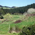 NZL WKO Ohautira 2011SEPT10 001 : 2011, 2011 - Rugby World Cup, Date, Month, New Zealand, Oceania, Ohautira, Places, September, Trips, Waikato, Year