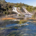NZL WKO OrakeiKorako 2018APR19 023 : - DATE, - PLACES, - TRIPS, 10's, 2018, 2018 - Kiwi Kruisin, April, Day, Month, New Zealand, Oceania, Orakei Korako, Thursday, Waikato, Year