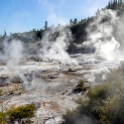 NZL WKO OrakeiKorako 2018APR19 031 : - DATE, - PLACES, - TRIPS, 10's, 2018, 2018 - Kiwi Kruisin, April, Day, Month, New Zealand, Oceania, Orakei Korako, Thursday, Waikato, Year