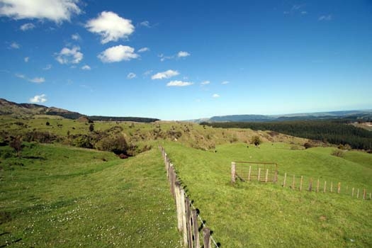NZL WKO Rangitaiki 2006OCT26 001