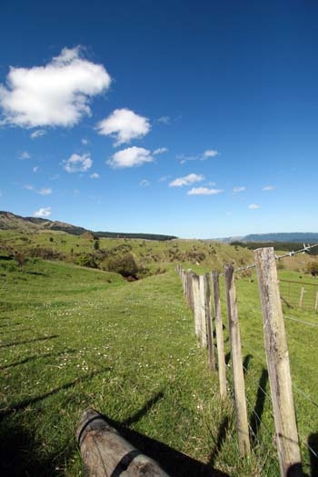 NZL WKO Rangitaiki 2006OCT26 002
