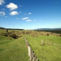 Rangitaiki