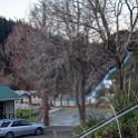 NZL WKO Waingaro 2011SEPT09 HotSprings 001 : 2011, 2011 - Rugby World Cup, Date, Hot Springs, Month, New Zealand, Oceania, Places, September, Trips, Waikato, Waingaro, Year