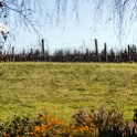 NZL WGN Martinborough 2011SEPT21 TeKairangaWines 005 : 2011, 2011 - Rugby World Cup, Date, Martinborough, Month, New Zealand, Oceania, Places, September, Te Kairanga Wines, Trips, Wellington, Year