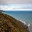 NZL WGN PukeruaBay 2011SEPT24 005 : 2011, 2011 - Rugby World Cup, Date, Month, New Zealand, Oceania, Places, Pukerua Bay, September, Trips, Wellington, Year