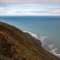 NZL WGN PukeruaBay 2011SEPT24 006 : 2011, 2011 - Rugby World Cup, Date, Month, New Zealand, Oceania, Places, Pukerua Bay, September, Trips, Wellington, Year
