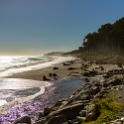 NZL WTC BruceBay 2018MAY01 001  We stopped off for a few minutes in   Bruce Bay   to stretch our legs and for me to break a few more " cardinal rules " of photography. : - DATE, - PLACES, - TRIPS, 10's, 2018, 2018 - Kiwi Kruisin, Bruce Bay, Day, May, Month, New Zealand, Oceania, Tuesday, West Coast, Year