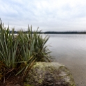 NZL WTC Harihari 2018APR30 LakeIanthe 001    Lake Ianthe   is one of the many lakes that dotted our drive down the west coast. : - DATE, - PLACES, - TRIPS, 10's, 2018, 2018 - Kiwi Kruisin, April, Day, Harihari, Lake Ianthe, Monday, Month, New Zealand, Oceania, West Coast, Year
